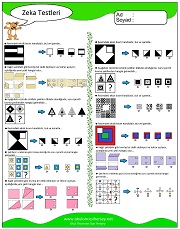 Zeka Gelişim Testleri